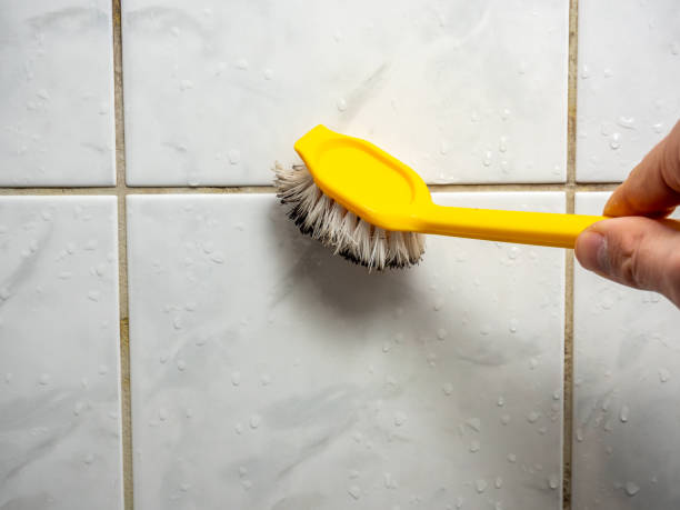 Best Fast Mold Removal  in Elkton, MD